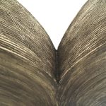 Wingspace Detail