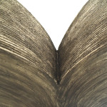 Wingspace  Detail
